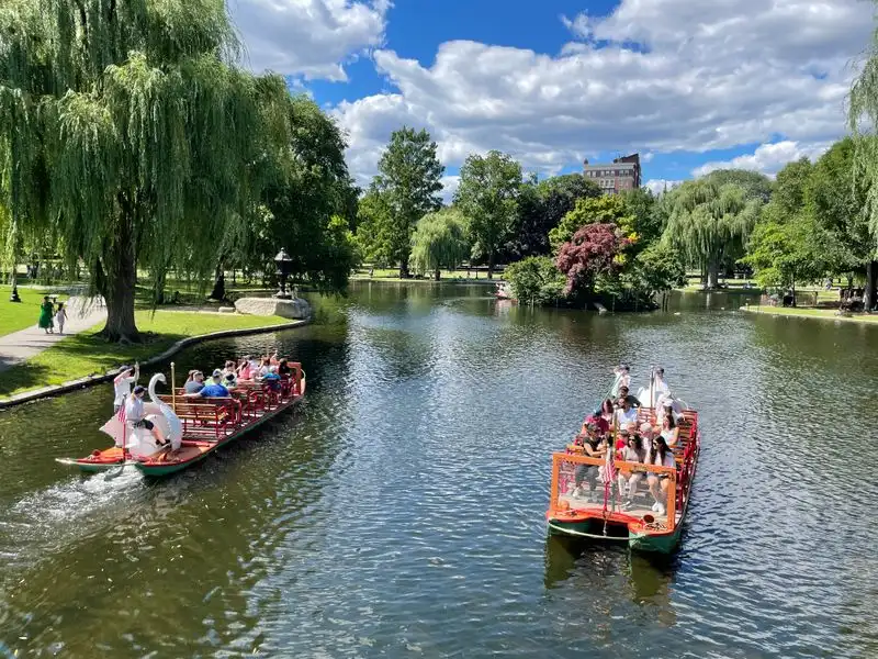 Where to find them and how the ride works