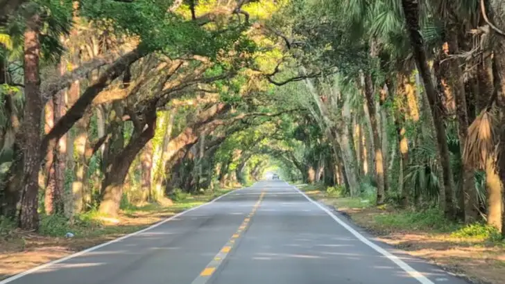 A captivating 12-mile drive through Florida that leaves a lasting impression