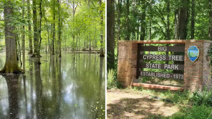 A gorgeous Tennessee state park that&rsquo;s tailor-made for calm day trips