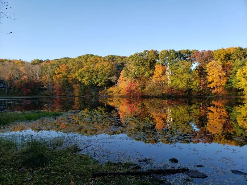 Nature as a gentle backdrop