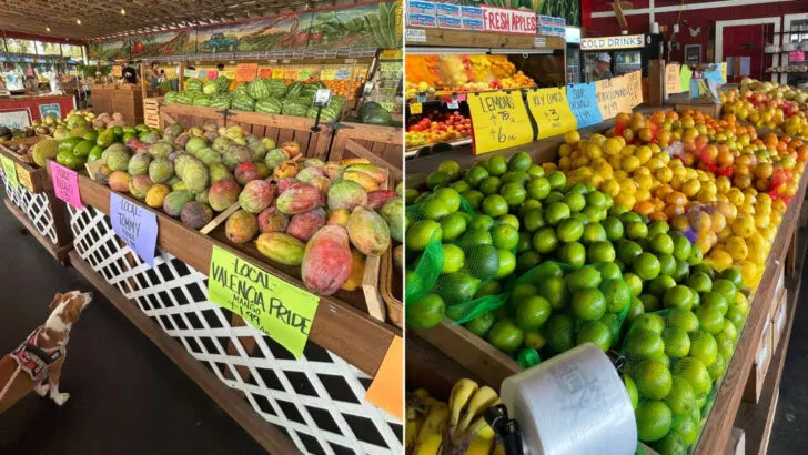 A roadside stand in Florida known statewide for its key lime pie