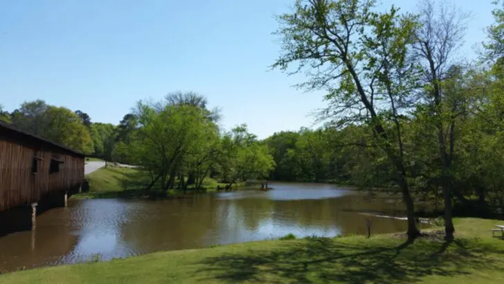 A surprisingly overlooked state park in Georgia that feels undiscovered