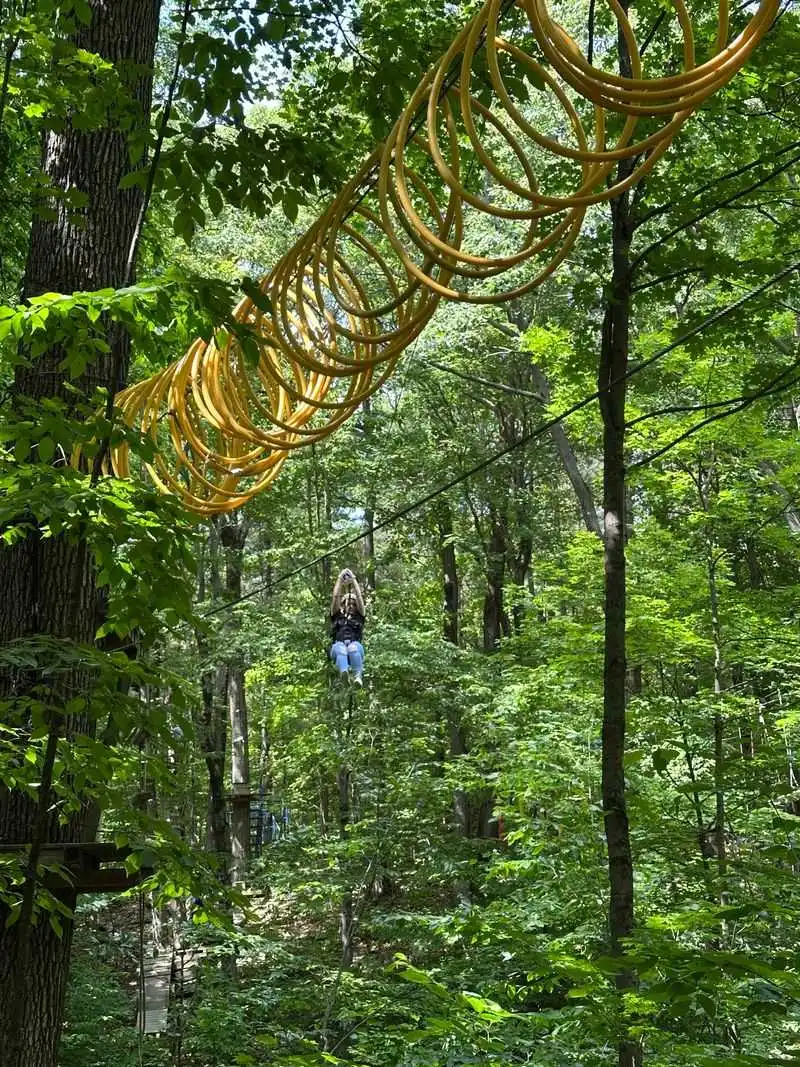 The Thrill of the Canopy