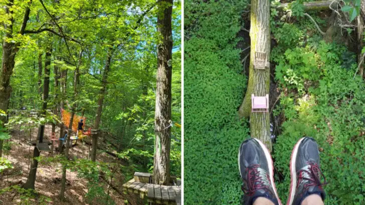 A unexpected treetop park in New York where the forest becomes your playground