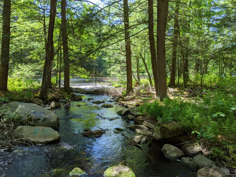 Conclusion: Big Experiences in a Small Package