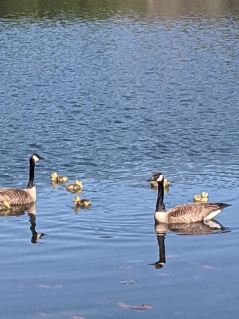 Photography guide: simple shots that pop