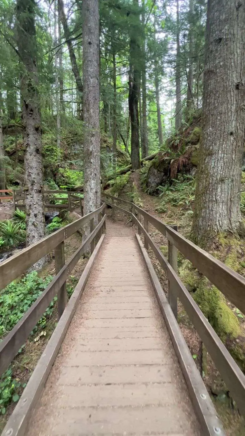 Why this hike is perfect for beginners