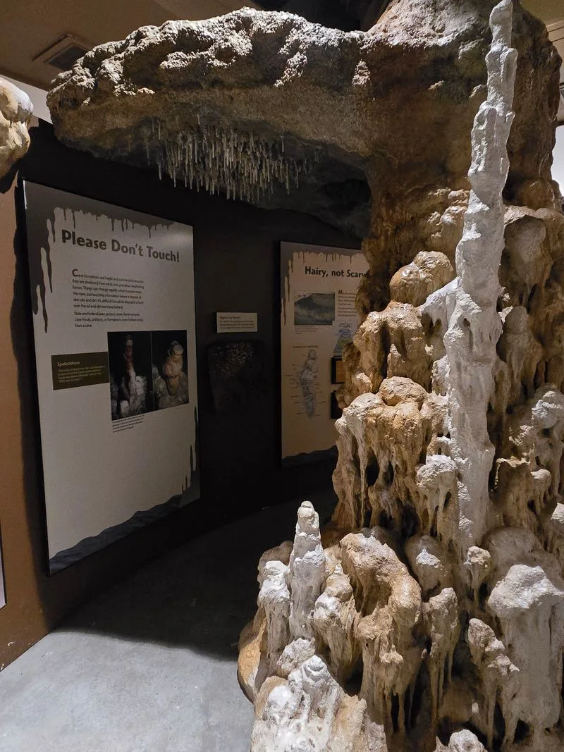 Tickets, schedules, and best times to visit