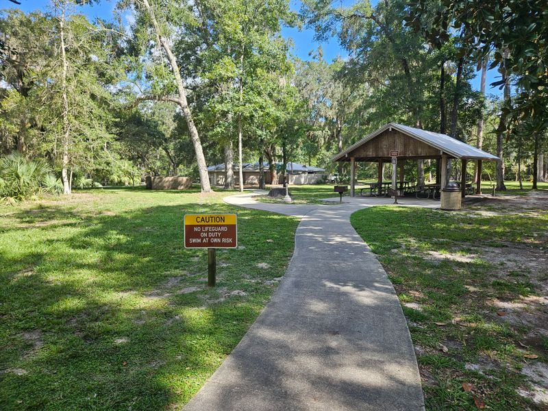 Picnic Nooks Beneath The Canopy