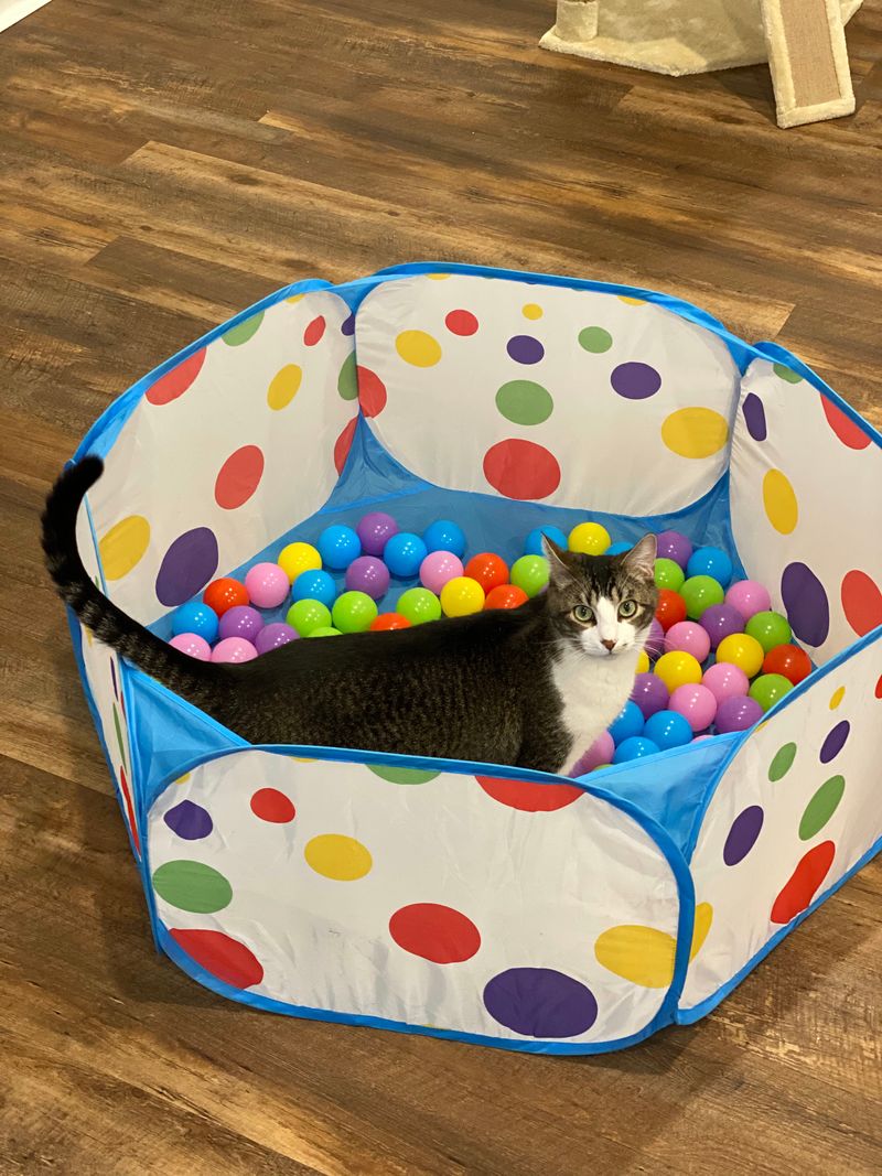 Tips for the best visit