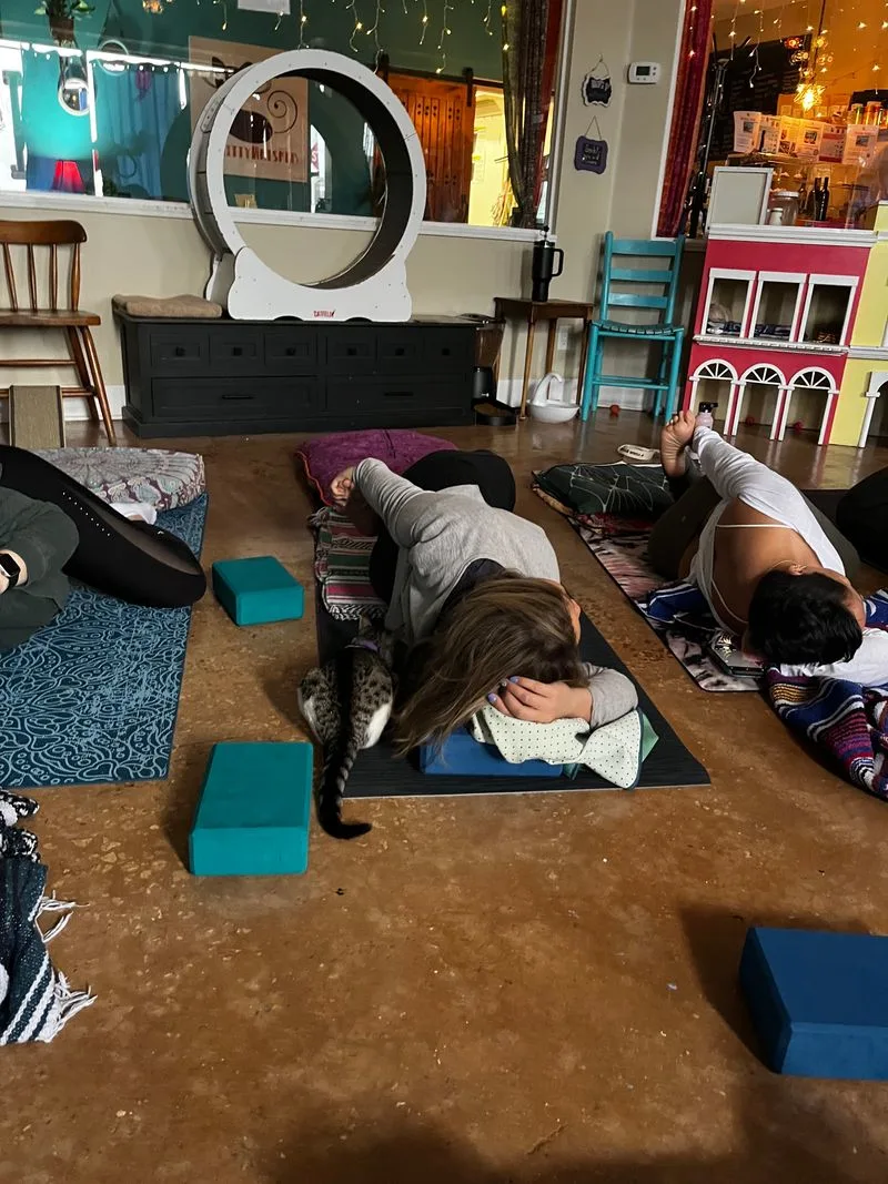 Events: yoga, meditation, and parties