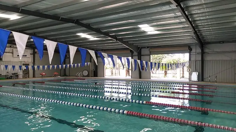 Rainy day plan: aquariums, museums, and cozy breaks