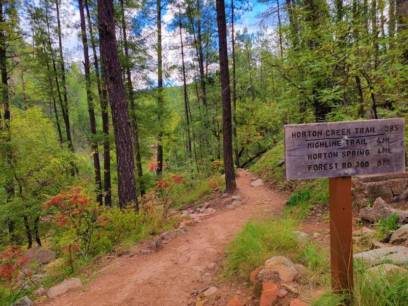 Payson