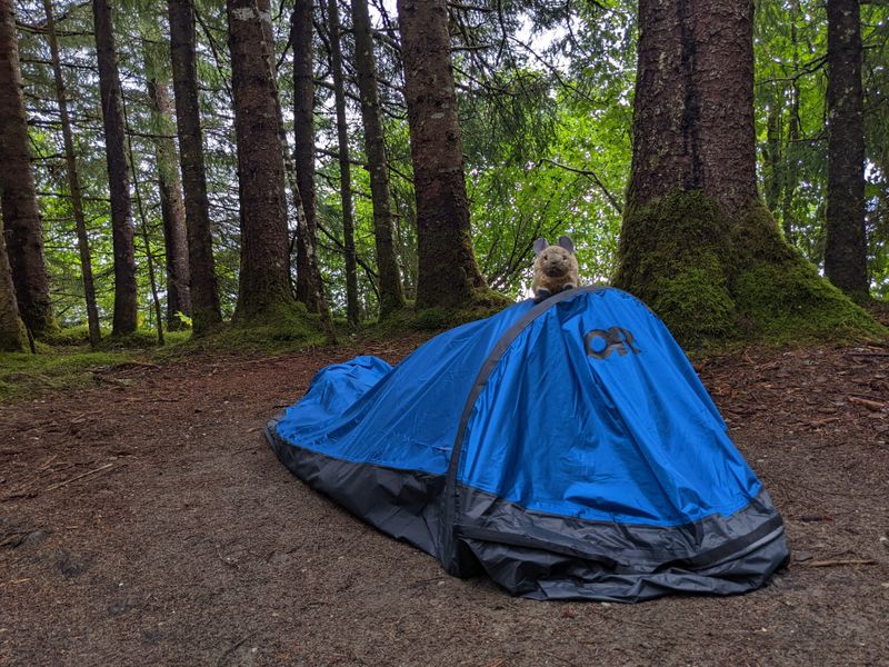 Alaska — Bartlett Cove Campground, Glacier Bay National Park