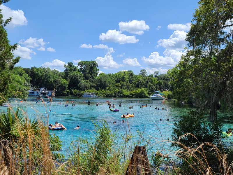 Silver Glen Springs Outflow &mdash; Ocala National Forest