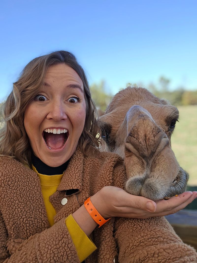 Planning Tips: Hours, Weather, and Accessibility