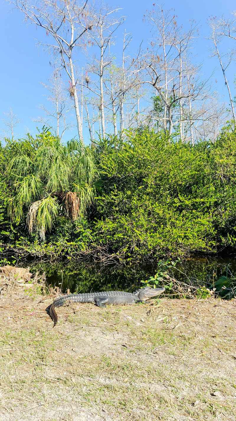 Best time and lighting for the drive