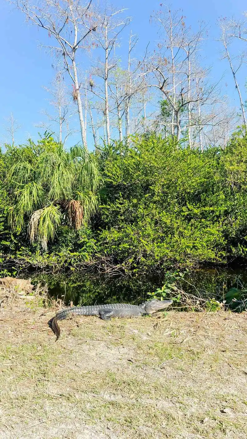 Best time and lighting for the drive