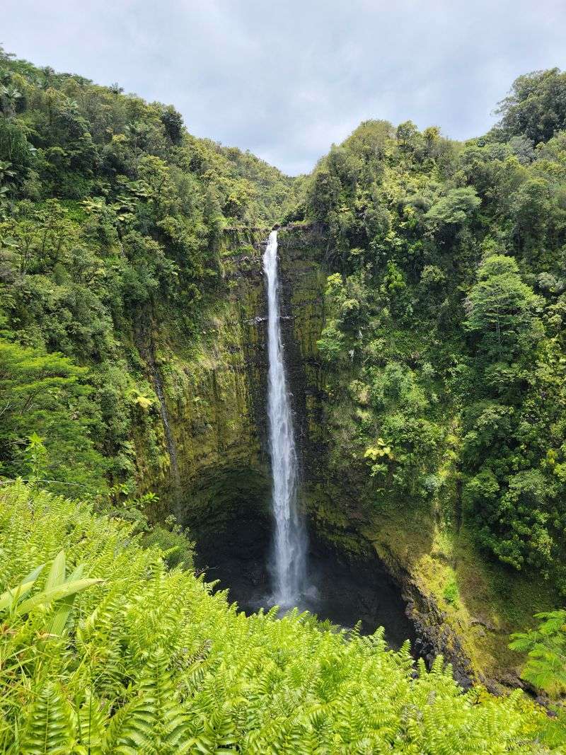 ʻAkaka Falls &mdash; Honomū, Hawaii