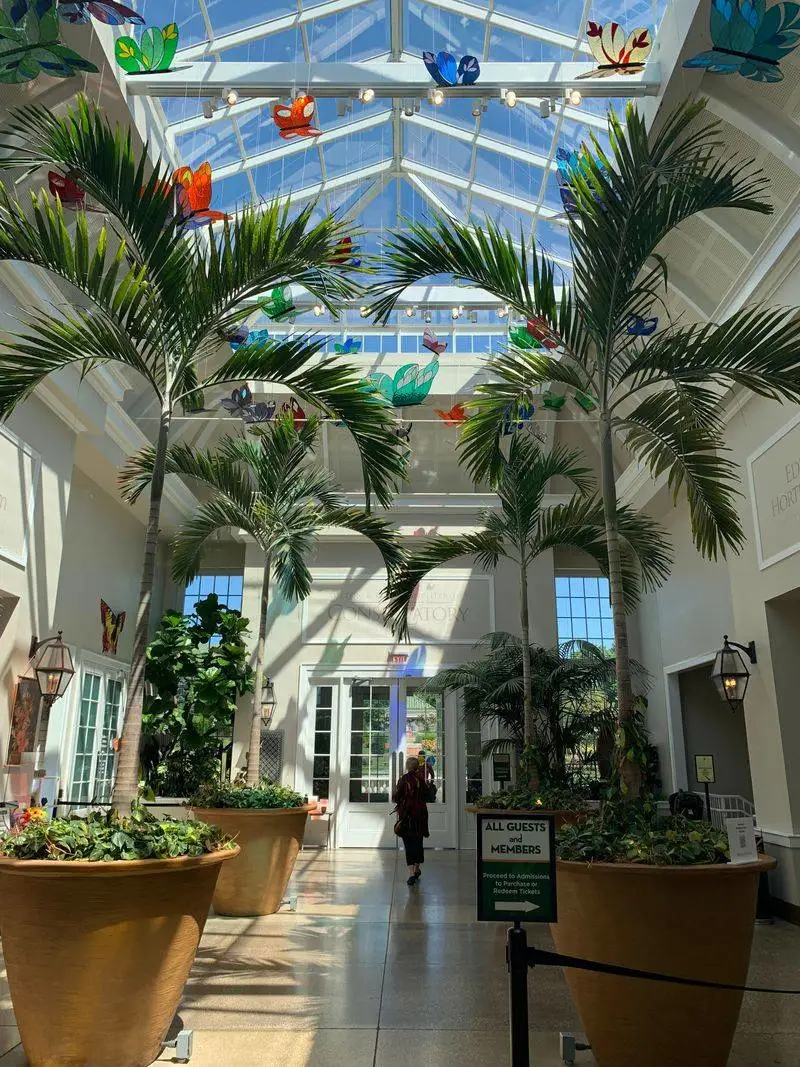 Tropical First Impressions