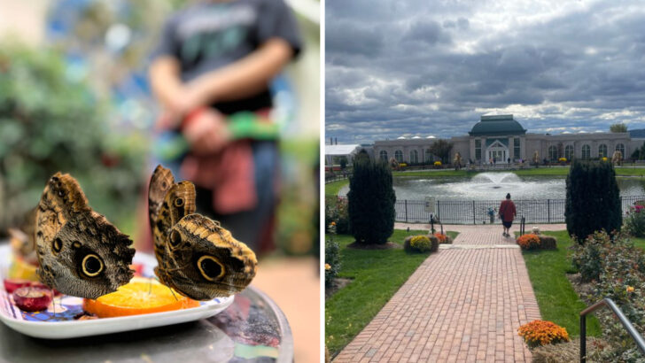 An Indoor Butterfly Atrium Is the Highlight of This Pennsylvania Botanical Garden