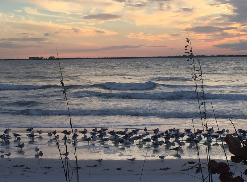 Fort De Soto Campground &mdash; Tierra Verde, Florida