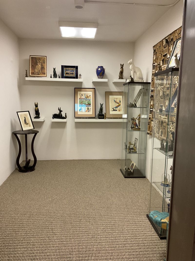 Abyssinians and breed histories in focus