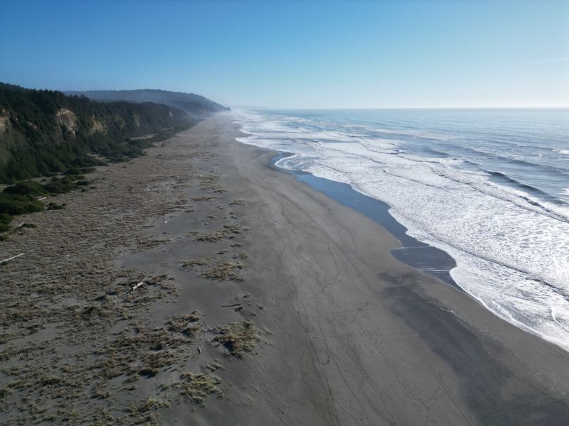 Coastal Beauty and Diverse Ecosystems