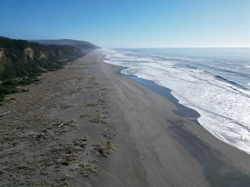 Coastal Beauty and Diverse Ecosystems