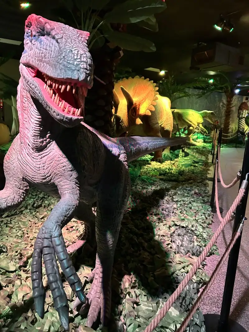 Live Reptile Exhibit