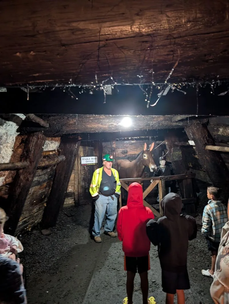 Voices of the Miners: Labor, Life, and Community