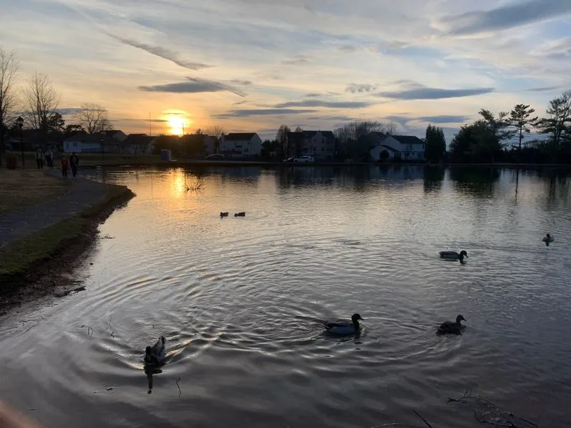 Parks and a peaceful breather