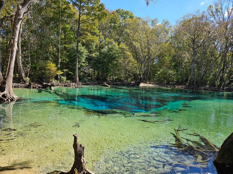 Cypress Springs Run Cascades &mdash; Washington County
