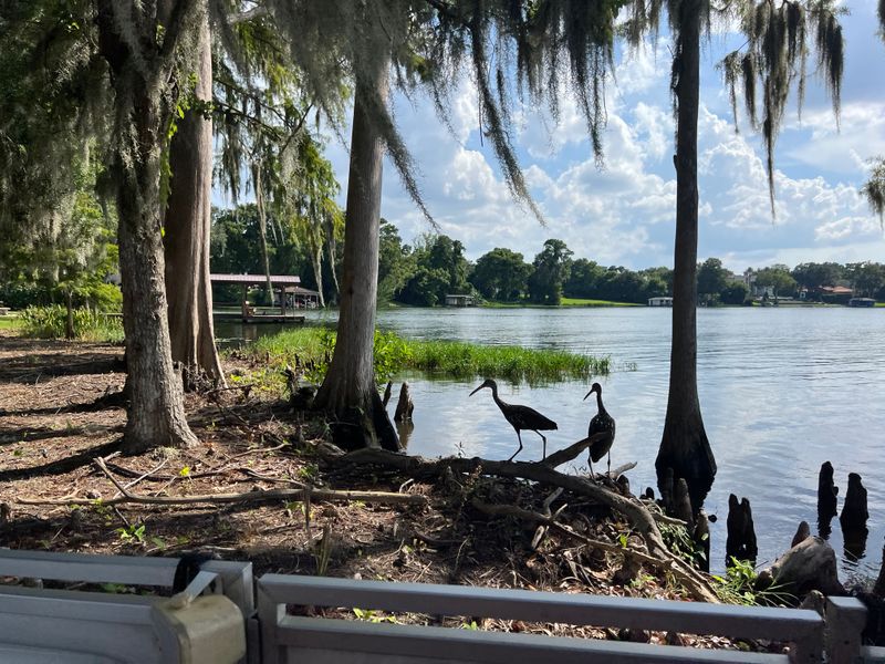 Nature and wildlife: what you might see