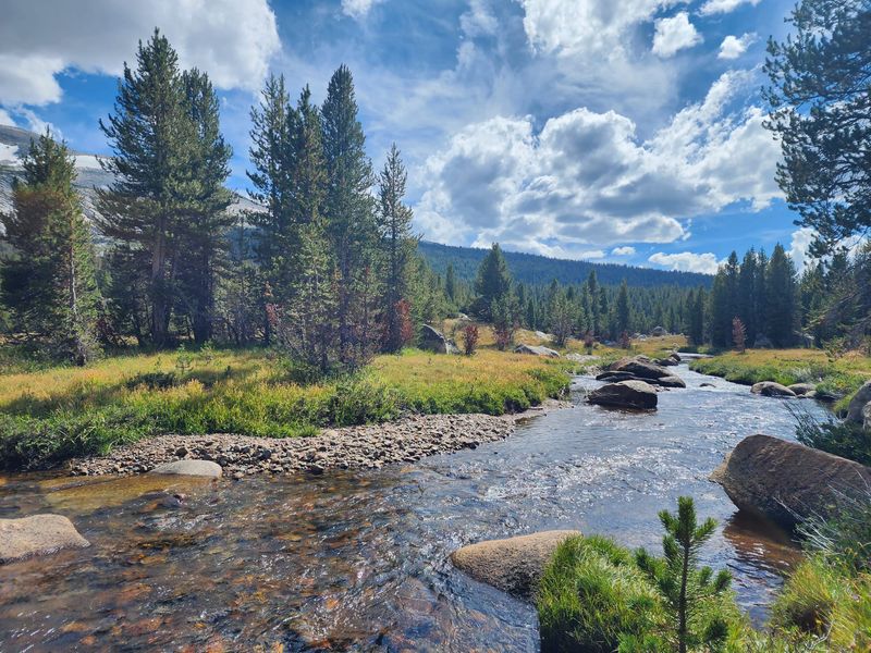 California &ndash; Tuolumne Meadows Trails (Yosemite National Park)