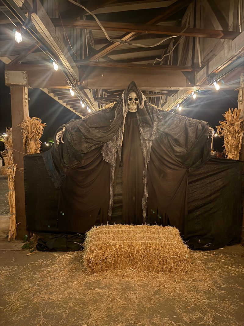 California &mdash; Haunted Forest CA (Plymouth)