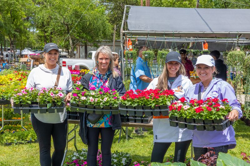 Live Plant Selection