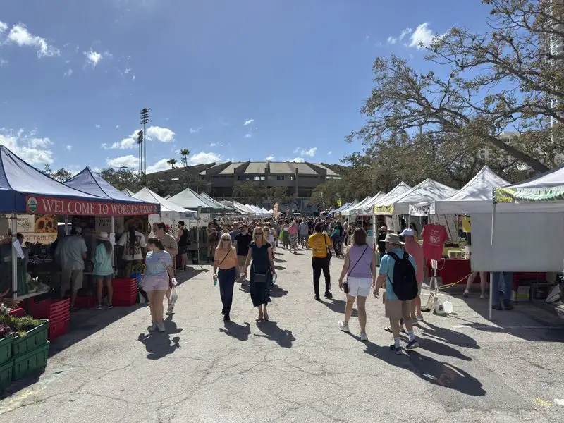 Dogs, families, and accessibility