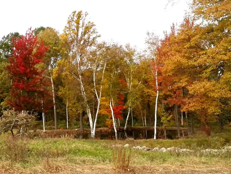 Litchfield Hills, Connecticut