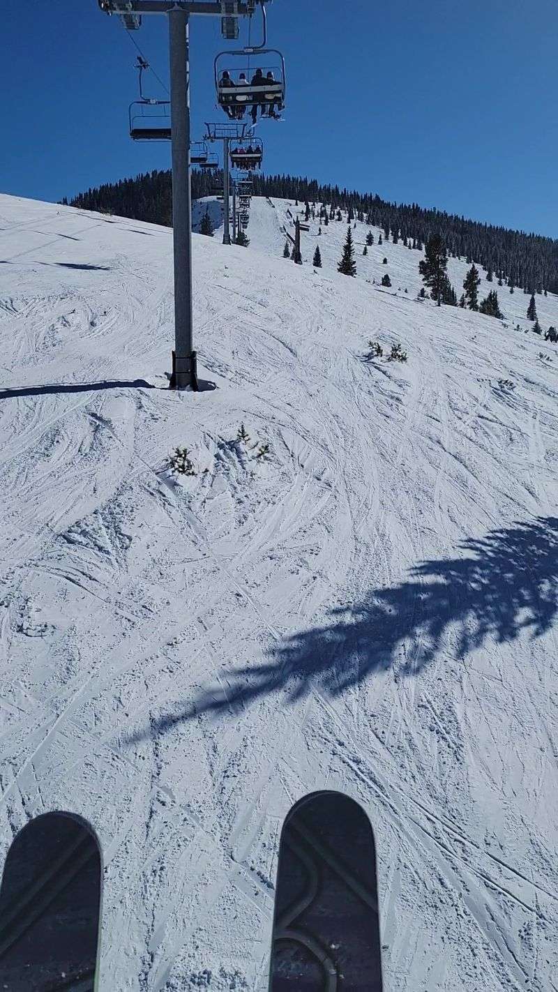 Vail (Back Bowls & Blue Sky Basin)