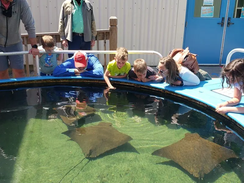 The Estuarium at Dauphin Island Sea Lab: Science You Can Touch