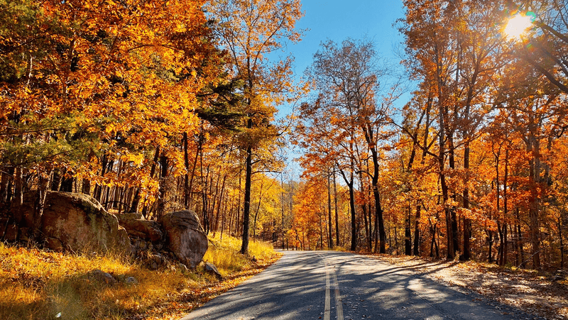 Leaf-Peeping and Seasonal Color