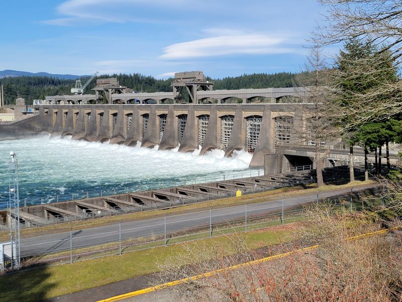 Bonneville Dam