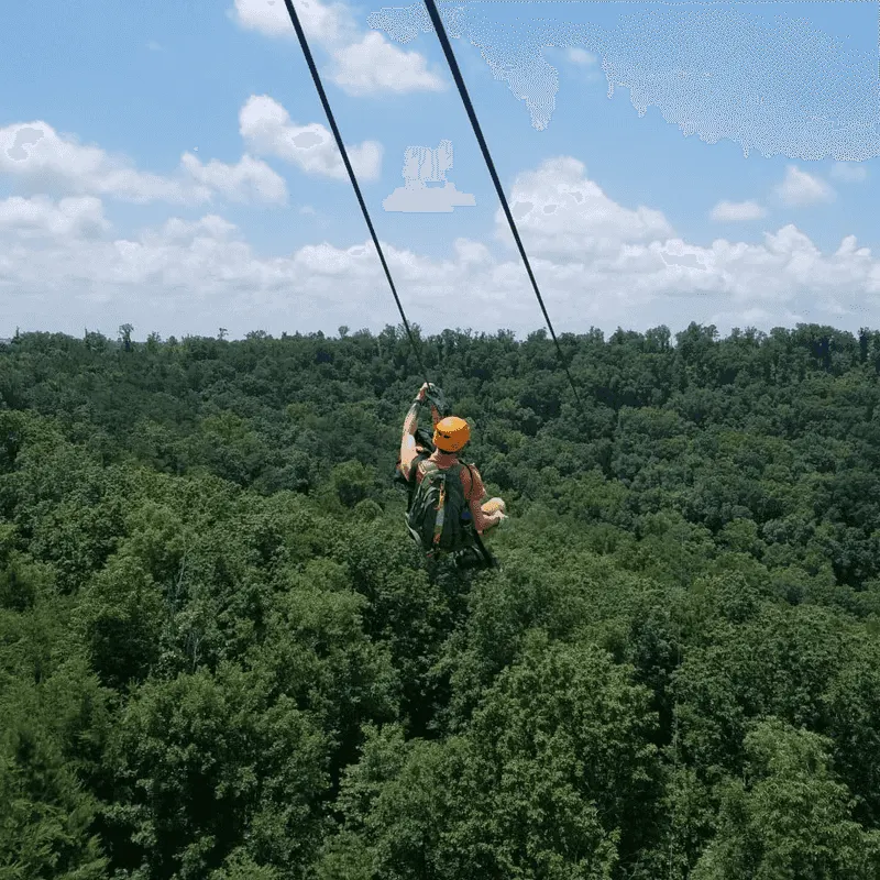Zip Lines and Adrenaline Bursts