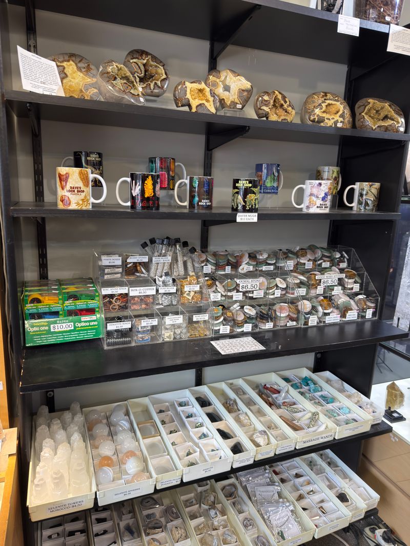 Kid Friendly Tips For Your Visit