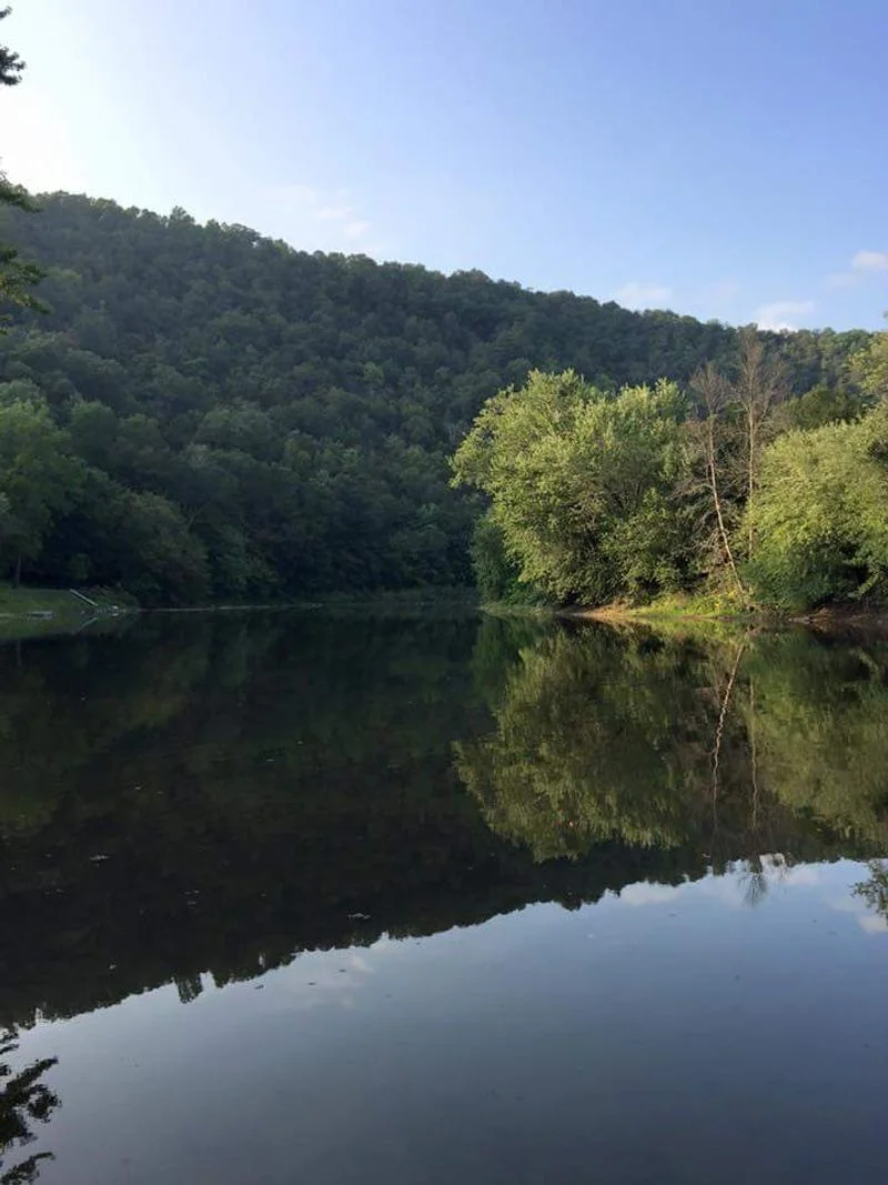 Juniata River Fly Fishing Pull Offs