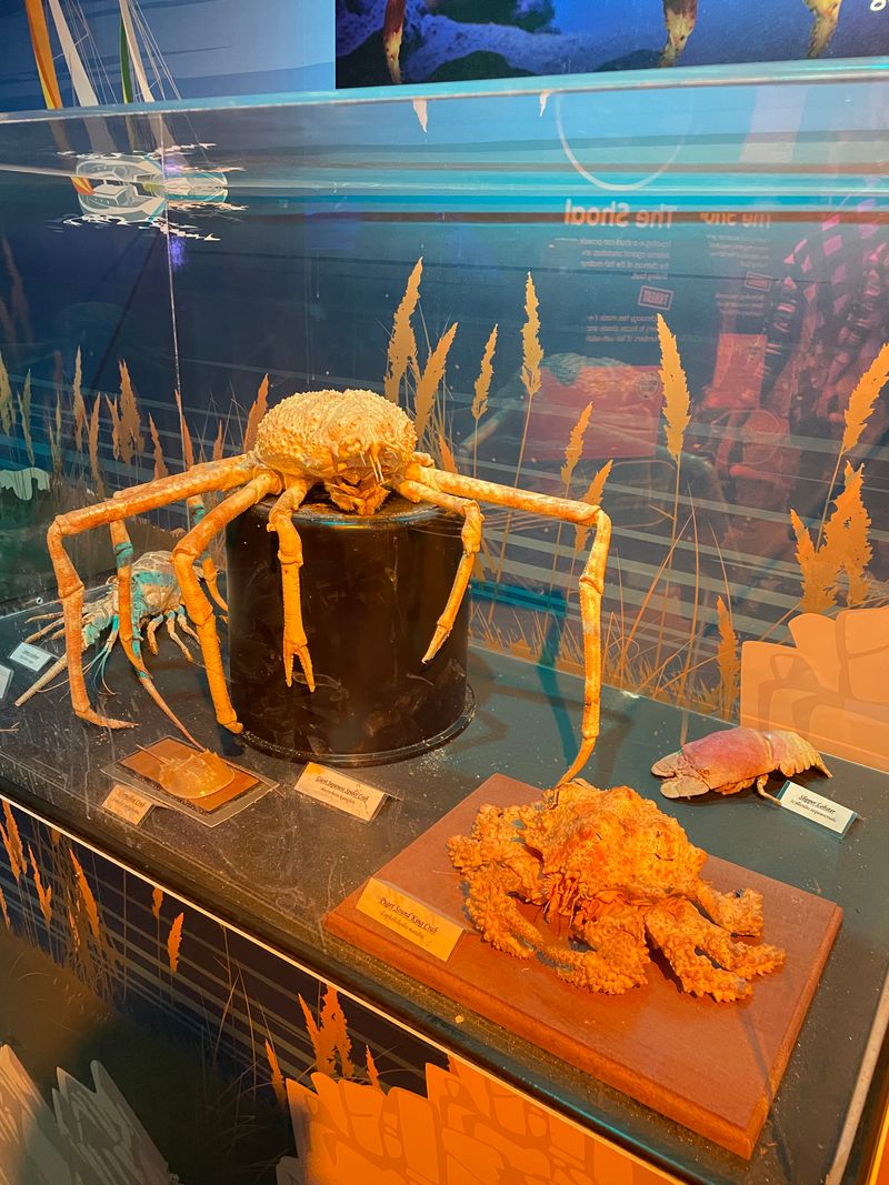 Educational Exhibits