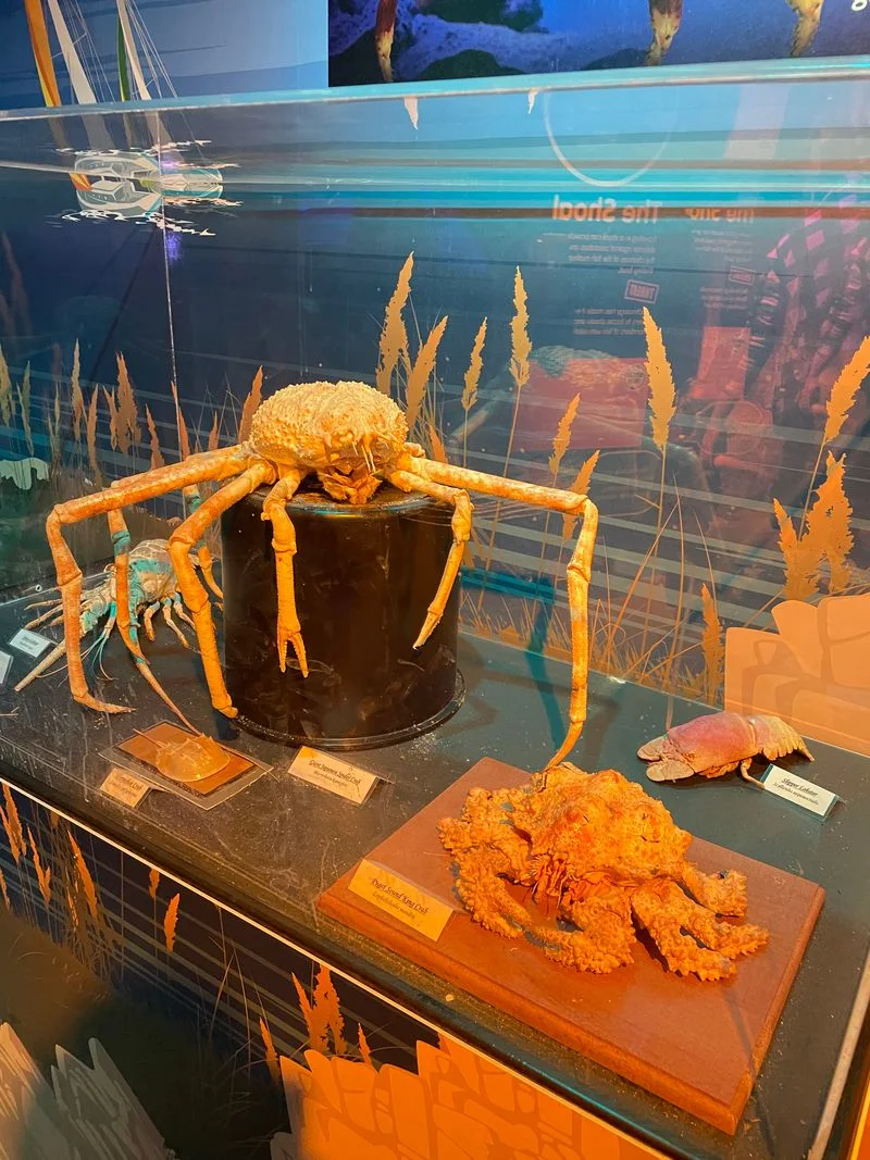 Educational Exhibits