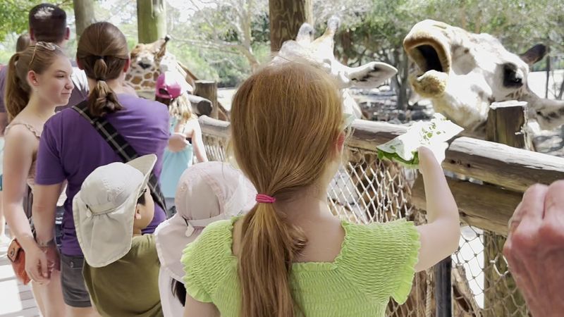 Accessibility and Family-Friendly Amenities