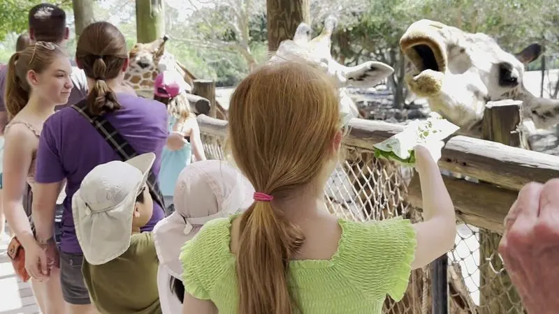 Accessibility and Family-Friendly Amenities